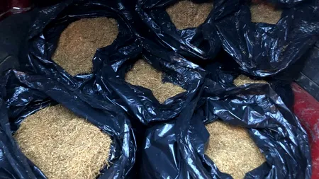 Razie la traficanții de tutun. 100 de percheziții. Marfa era descărcată în locuri clandestine