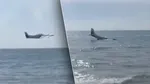 De ce a ales un pilot să prăbușească avionul în ocean în loc să aterizeze pe aeroport