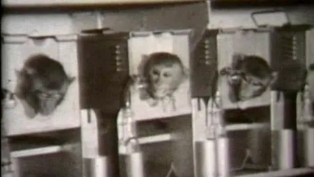 VIDEO. Imagini în premieră din timpul operațiunii secrete 