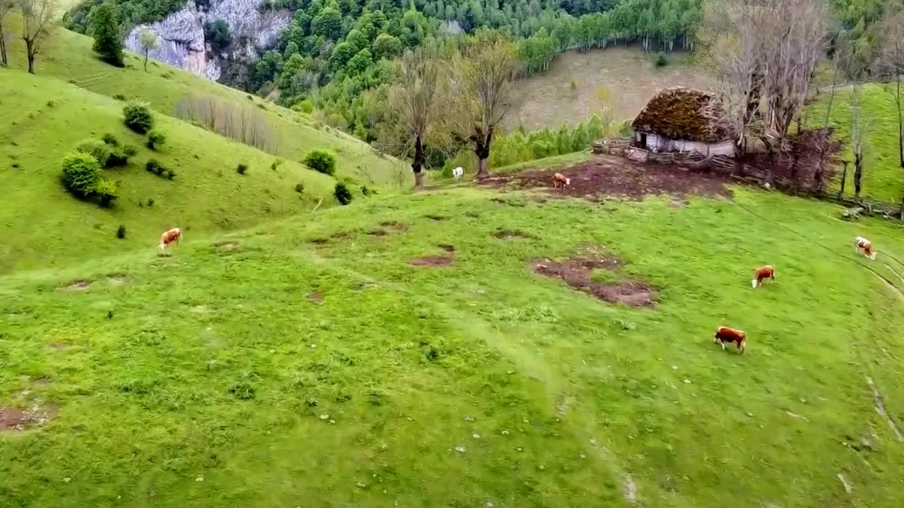 Noul an școlar: La Albac, Apuseni, se închid două școli primare, după reorganizare. Copiii merg pe jos 2 kilometri, pe vreme rea