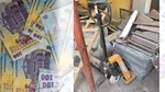 La ce preț a fost scos la vânzare un transpalet second-hand de către ANAF. Licitația a stârnit reacții: „Doamne ferește”