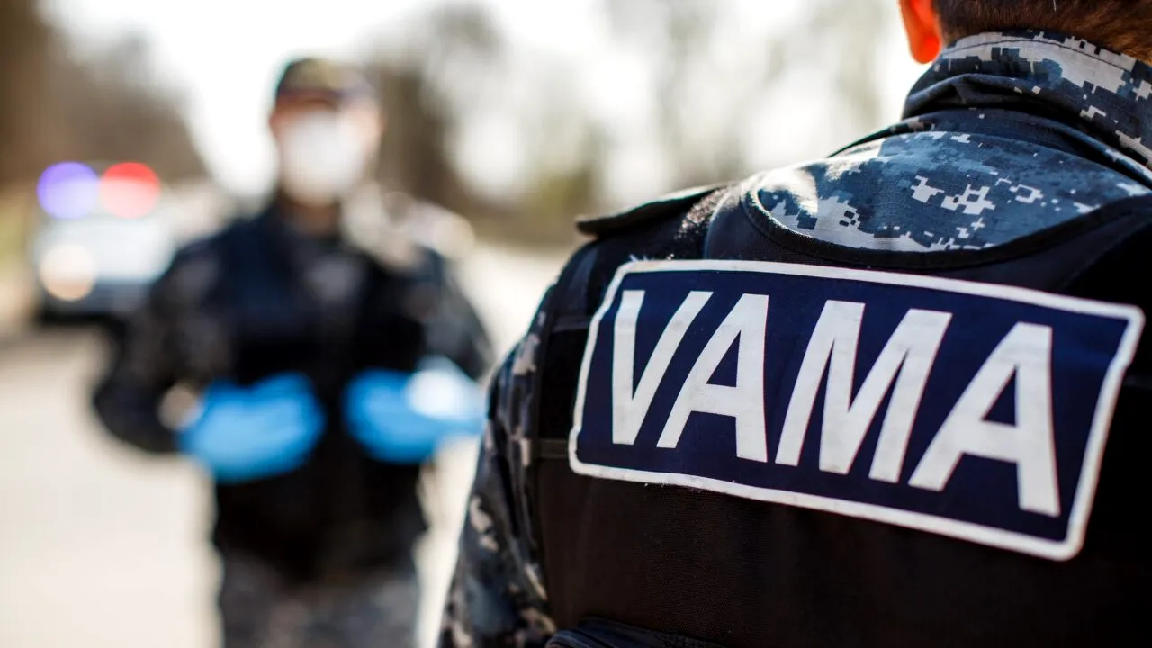 CAPTURĂ uriașă la Vama Giurgiu - țigări de contrabandă în valoare de 2,3 milioane de euro! Pe cine au prins polițiștii la control