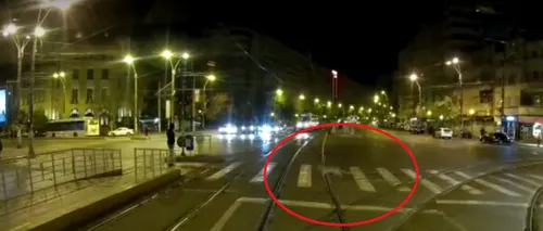 Un vatman din București a surprins pe camera de bord o vulpe pe o trecere de pietoni (VIDEO)