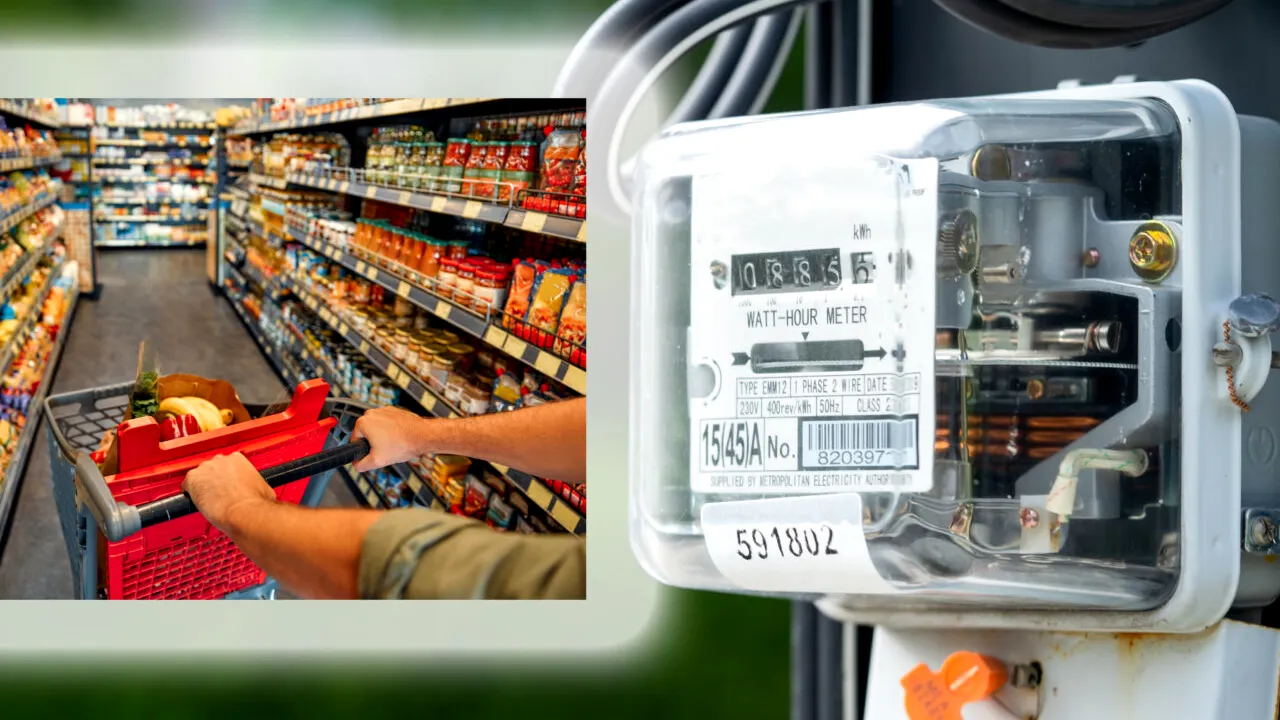 INS: Prețul energiei electrice a fost în creștere cu peste 57% în luna martie 2026. Cu cât s-au scumpit alimentele