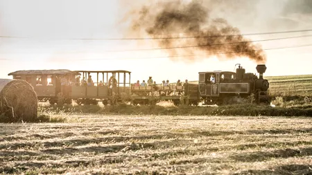 Expresul european si prietenii mocăniței