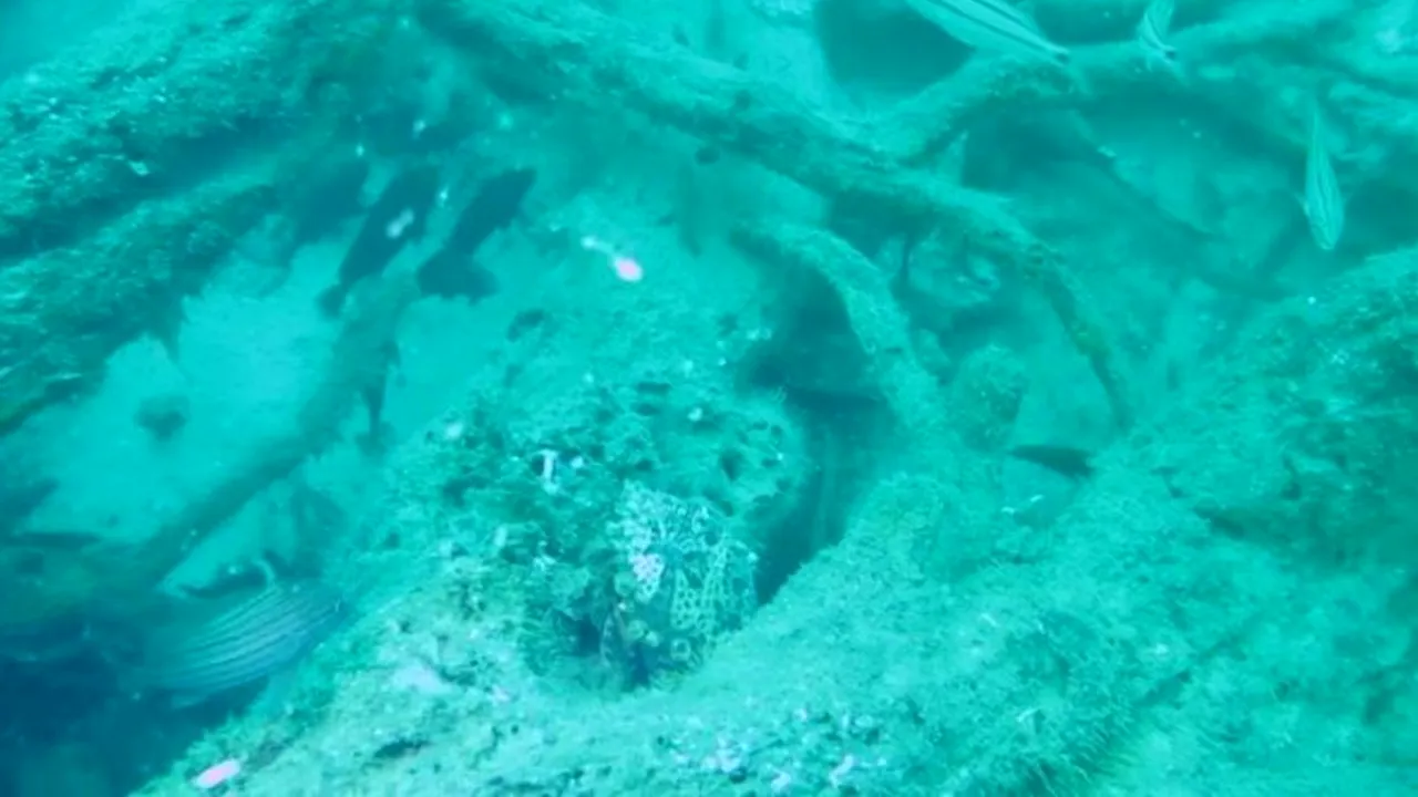 DESCOPERIREA care va schimba medicina. O bacterie miraculoasă vine în ajutorul omenirii