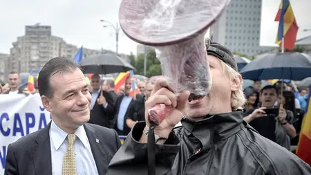 Ludovic, Șerban și Gigi - bărbați în stambă