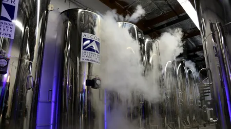 Cum a ajuns o fetiță din Thailanda cea mai tânără persoană criogenată din lume. Ce speră părinții ei să se întâmple într-o zi