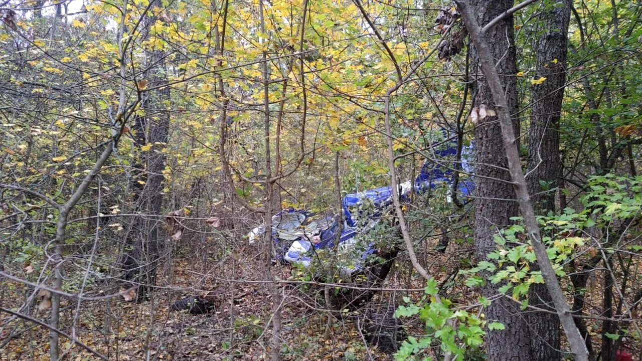 Un milionar a murit într-un accident aviatic în județul Vaslui. Cine era și cum s-a petrecut tragedia