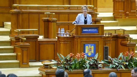 Liberalii și Guvernul contestă la CCR ordonanța privind plagiatele
