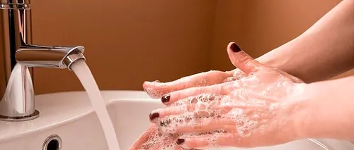 Cât de curate sunt mâinile tale după ce te-ai spălat cu săpun? Rezultatele unui experiment științific 
