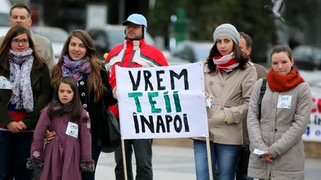 Zeci de tei plantați la Iași de către reprezentanții PSD, în ultima săptămână a campaniei electorale