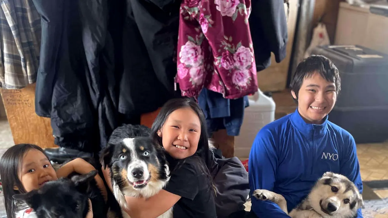 Povestea lui NANUQ, câinele pierdut care s-a întors la stăpânul său după o călătorie de 241 km pe gheața din Marea Bering