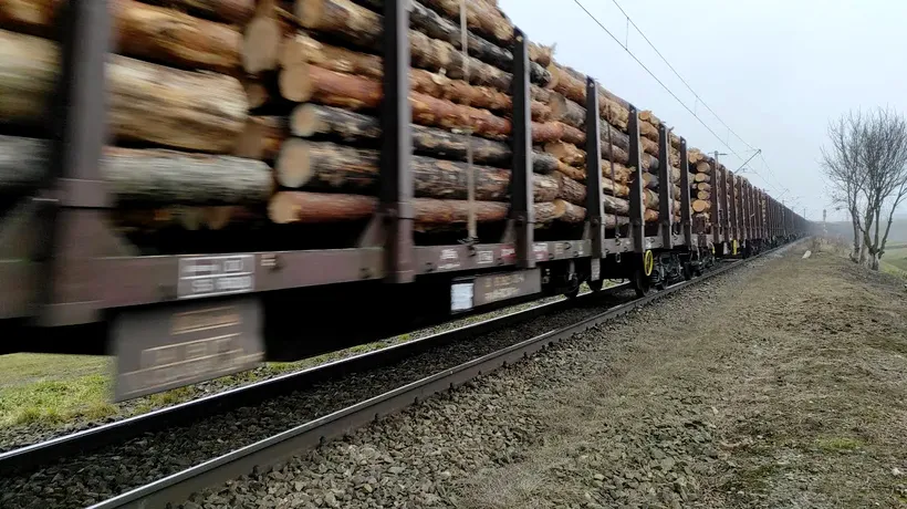 PNL cere interzicerea exportului de buştean! Lovitură decisivă pentru gigantul HS Timber Productions, ex-Holzindustrie Schweighofer, din Austria