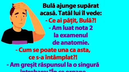 BANC | Bulă a luat nota 2 la examenul de anatomie
