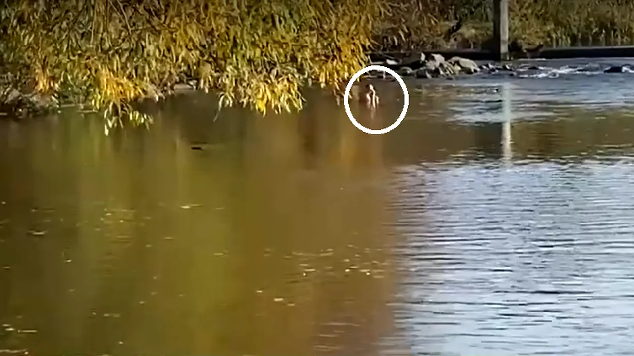 Unii orădenii au făcut BAIE într-un lac, la început de noiembrie. Temperaturile maxime au ajuns la 22 de grade Celsius, în weekend