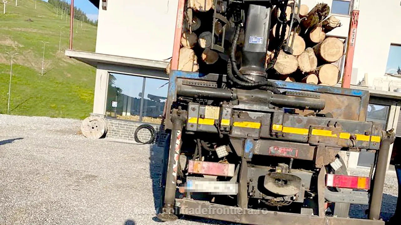 Polițiștii de frontieră din Maramureș, amenințați cu moartea după ce au oprit un transport ilegal de lemne