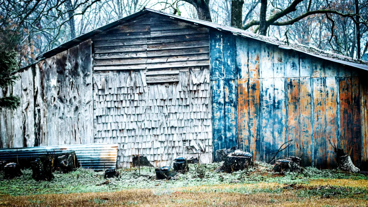 Au transformat un garaj prăfuit într-o casă de vis. Cum arată „bijuteria” după renovarea spectaculoasă