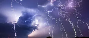 Furtuna a făcut RAVAGII în Capitală. Mașini și cabluri electrice de înaltă tensiune, avariate din cauza copacilor căzuți