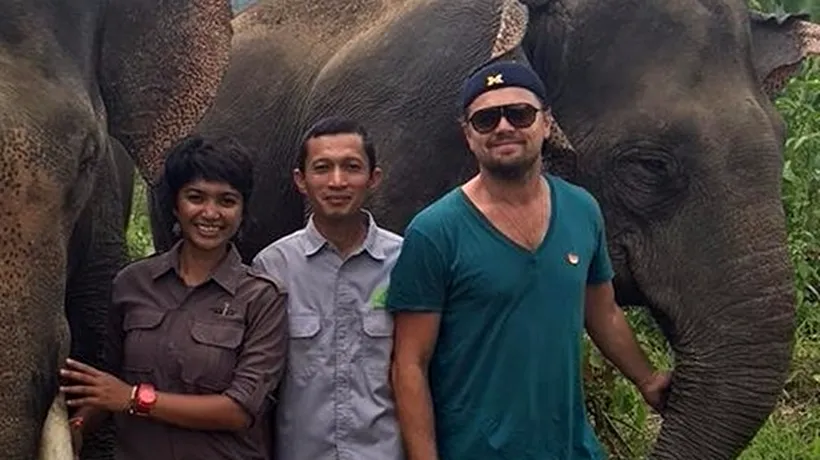 După ursul din Revenant, Leonardo diCaprio a înfuriat și autoritățile in Indonezia