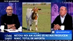 România, grânarul Europei, poate hrăni 100 de milioane de oameni. Ce spune Gigi Nețoiu, investitor în agricultură