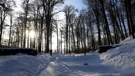 Munții Dacilor ascund un loc de poveste și plin de mister. Turiștii sunt atrași ca de un magnet