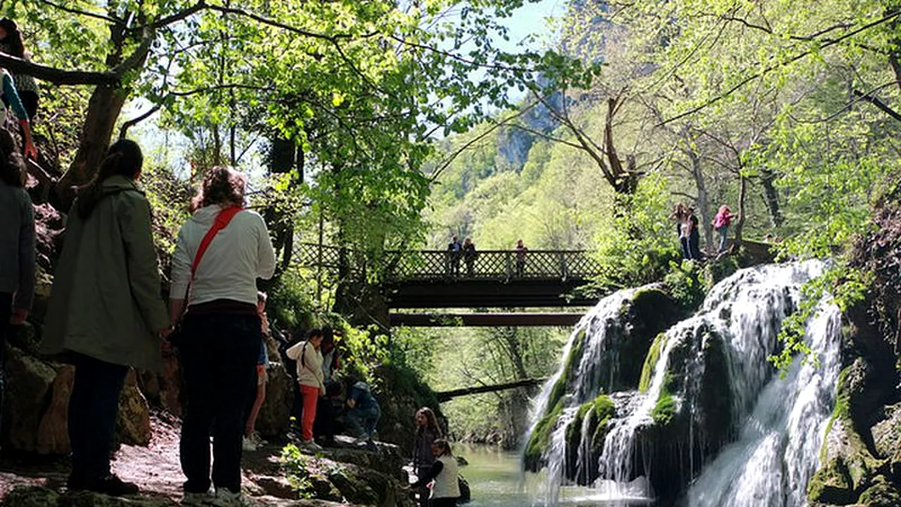 Cea mai populară atracție din vestul țării în acest weekend. Mii de oameni au călătorit special pentru o vizita
