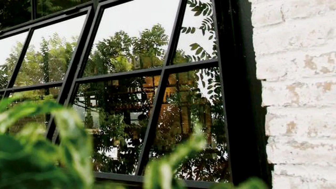 COMERȚ. „Cafenele pentru agenți patogeni” vând lilieci prăjiți/ „Așteptăm să devenim Wuhan”