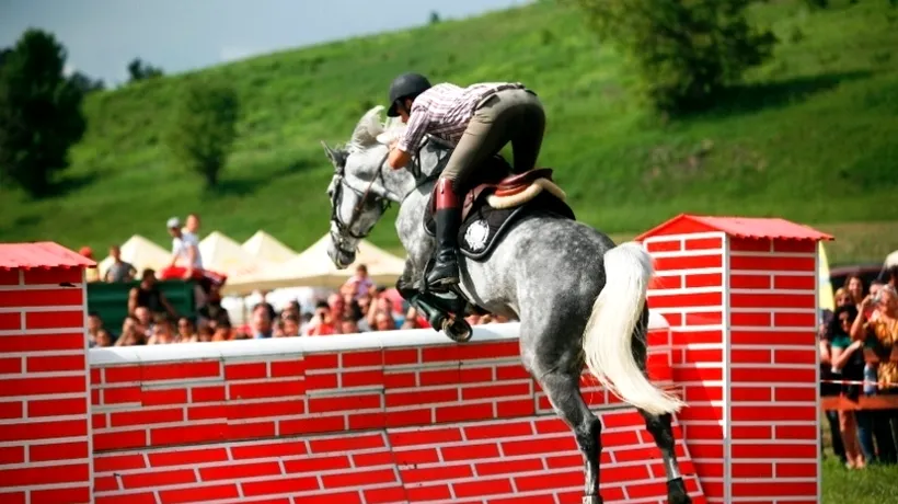 Experții concursurilor hipice internaționale vin în România la Transylvania Horse Show 2013 