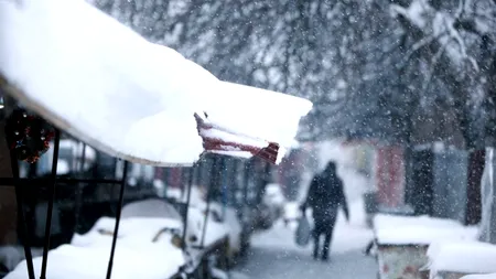 Școlile din TIMIȘ și din SUCEAVA sunt închise luni, din cauza zăpezii. Andronescu: Inspectoratele pot solicita acest lucru