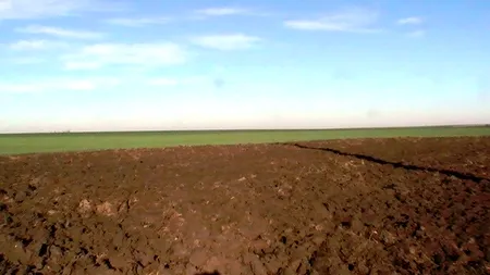 Fostul director al Stațiunii de cercetare din Fundulea: Terenuri din Fundulea, mai valoroase imobiliar, au fost retrocedate unor locuitori din Nana