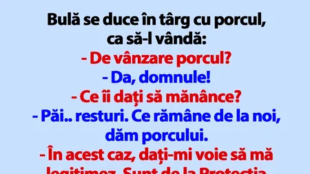 BANC | Bulă, porcul și Protecția Animalelor