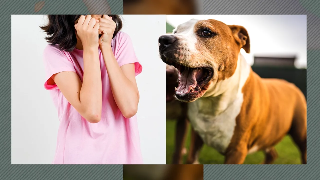 La un pas de tragedie. O fetiță din Mangalia a fost MUȘCATĂ de un câine de luptă pe care a vrut să-l mângâie