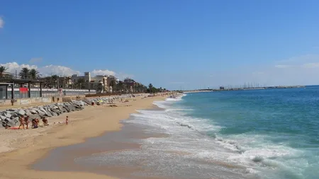 Trei rechini reperați în apropierea Barcelonei. Șase plaje au fost închise pentru o zi