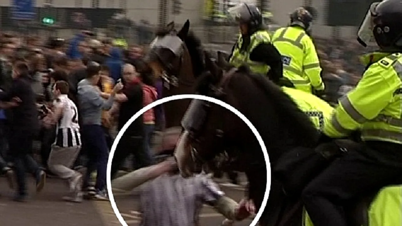 Huligan englez, condamnat la închisoare, după ce a lovit un cal al poliției