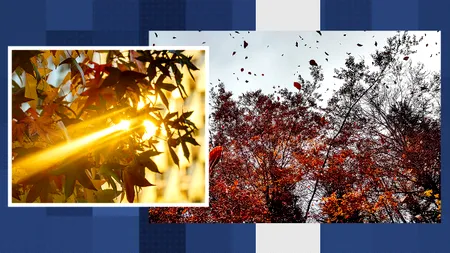 Vreme mai caldă decât ar fi normal în această perioadă, dar nu scăpăm de vânt. ANM, pentru Gândul: „Încălzire semnificativă”