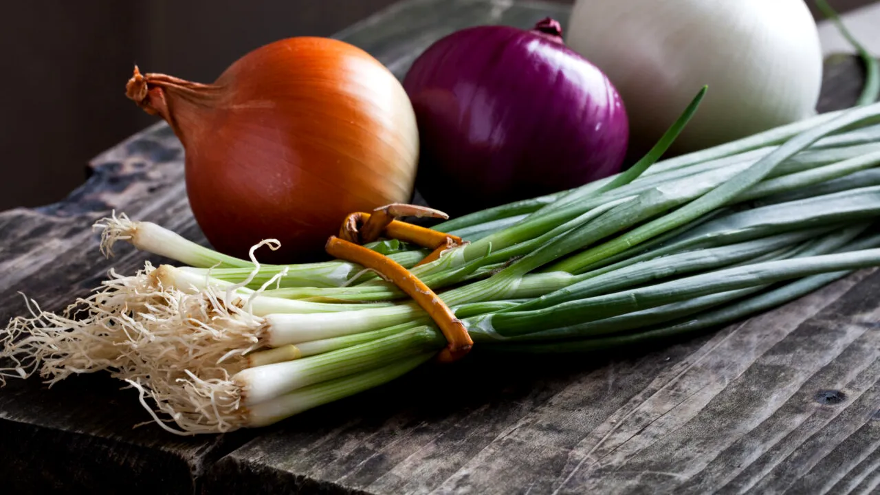 Ceapa depozitată în frigider este o idee PROASTĂ. Ce spune un expert în gătit și de ce nu trebuie așezată lângă electrocasnice