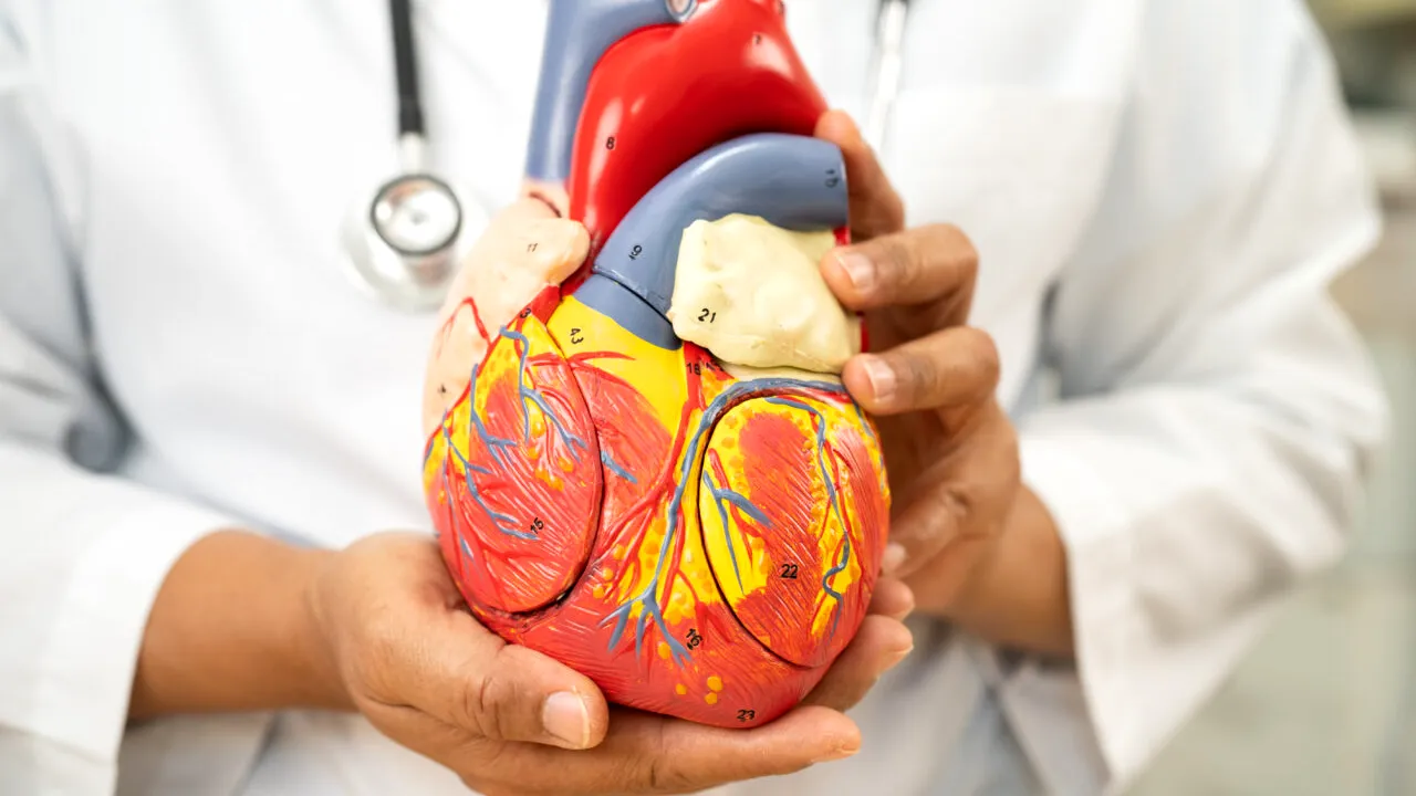 Cei 4 factori de risc asociați cu 99% dintre infarcte. Un obicei periculos se numără printre ei