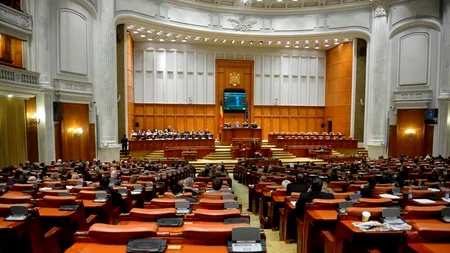 Scandal în Comisia pentru revizuirea Constituției după ce două propuneri ale PPDD au fost respinse