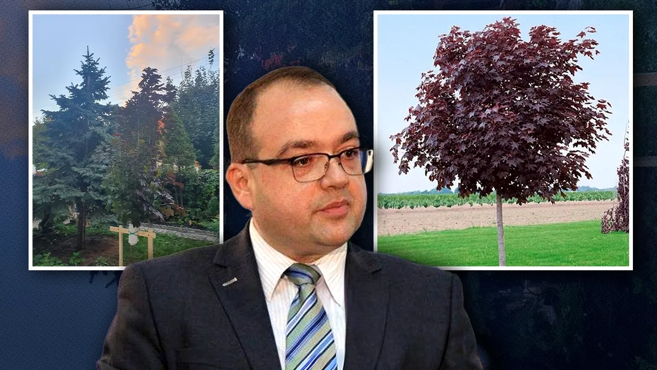 Cum s-a sucit Naumescu de când a ajuns consilierul lui Nicușor Dan, în evaluarea președintelui SUA. De la “incultul” de Trump, la Premiul Nobel, acum își plantează brusc și un arțar american în curtea casei