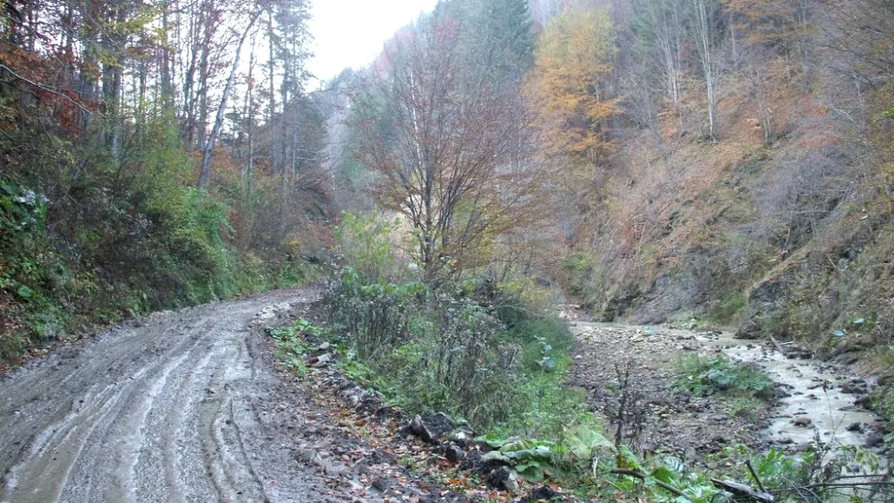 O româncă a dat în judecată autoritățile, din cauza drumurilor, iar acum primește bani zilnic de la primărie