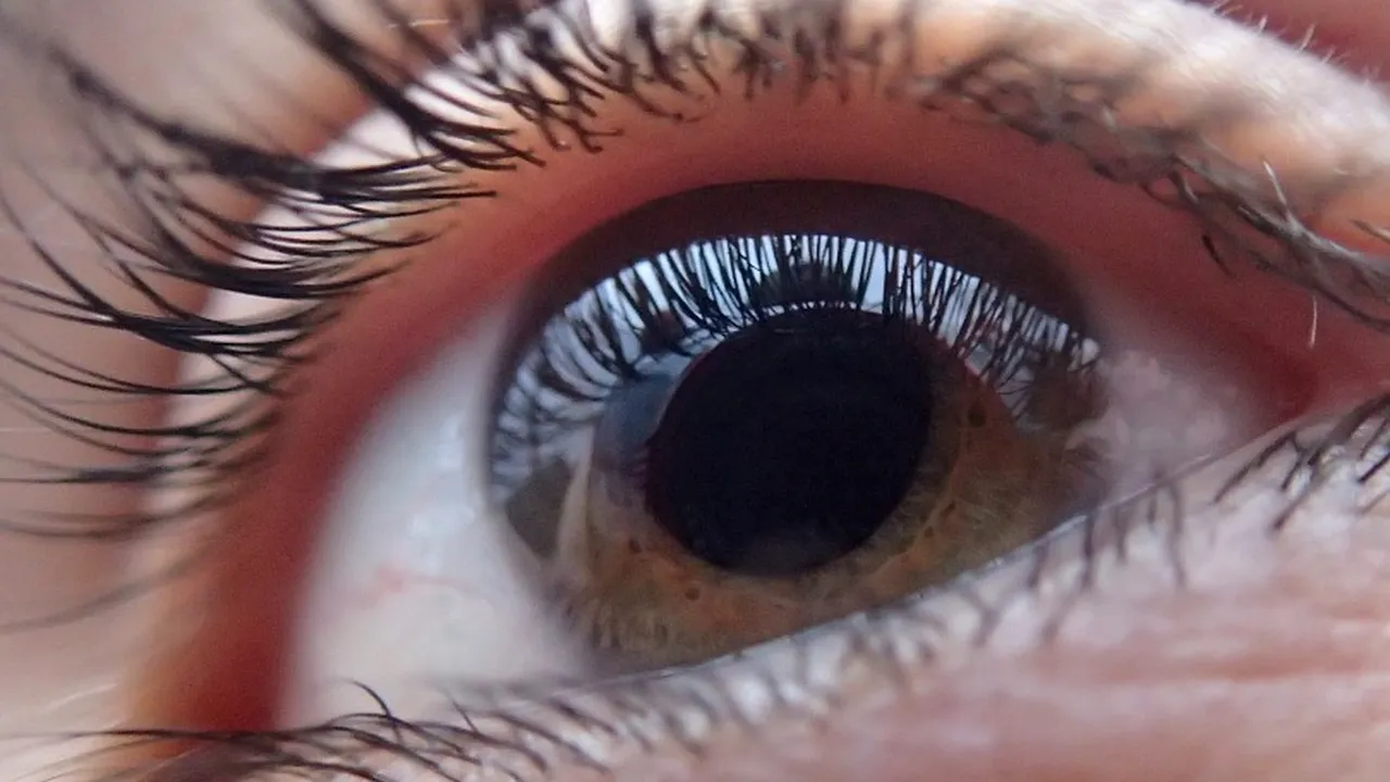 S-a prefăcut că este oarbă timp de 28 de ani. Motivul acestui gest disperat 