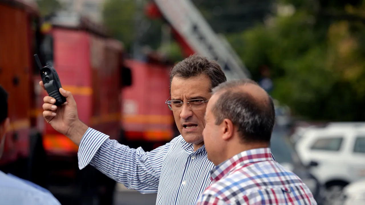 Decizia primarului Sectorului 6 după apariția fotografiei cu iepurii giganți aurii, care ar fi trebuit amplasați în grădinițe