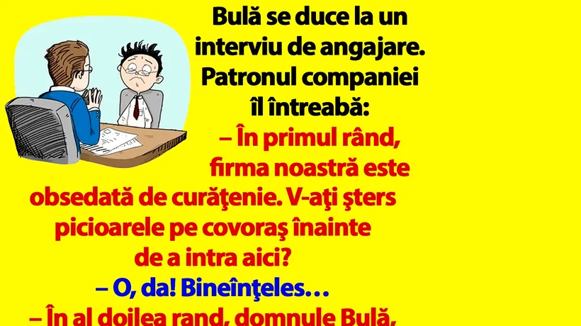 BANC | Bulă se duce la un interviu de angajare: „V-aţi şters picioarele pe covoraş înainte de a intra aici?