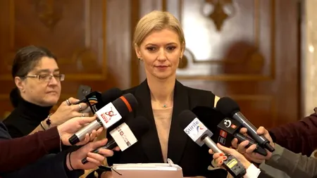 Două obligații ale României față de UE s-au clasat, terorismul și mandatul european de arestare. Ce raportează Alina Gorghiu
