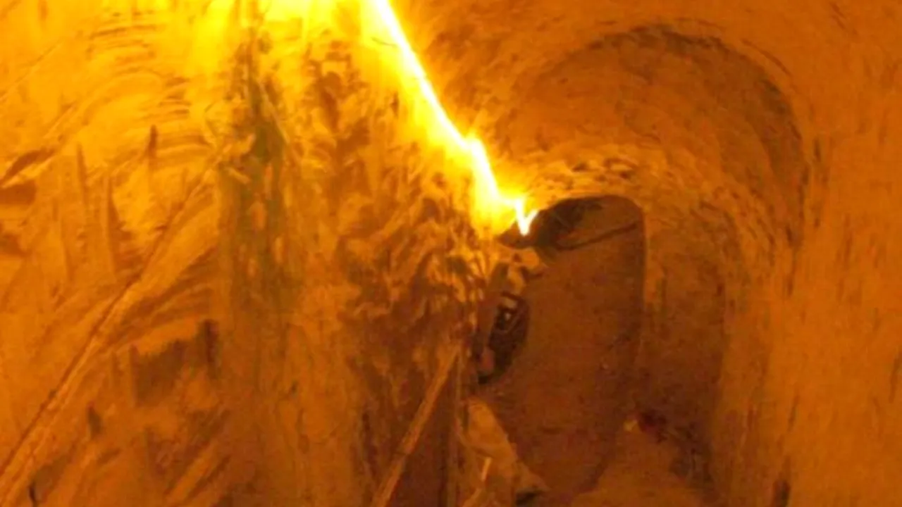 Polițiștii au primit un pont despre un braconier din Galați, însă nu-și imaginau că vor descoperi așa ceva la el acasă. Ce au găsit în timpul perchezițiilor