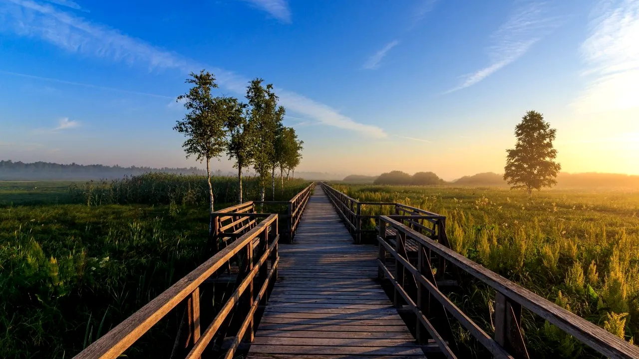 Prognoza meteo de vineri, 23 aprilie 2021. Temperaturi în scădere, în aproape toată țara, dar vremea va fi normală din punct de vedere termic