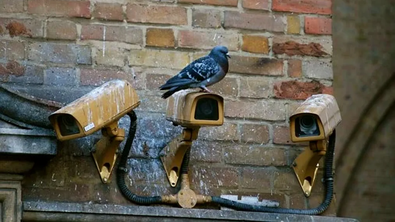 Primăria Bacău va cumpăra 300 de camere video pentru a verifica modul în care aruncă cetățenii gunoiul