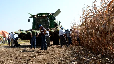 OMG dăunează grav sănătății? Cum ajung organismele modificate genetic în farfuriile românilor FĂRĂ CA ACEȘTIA SĂ ȘTIE