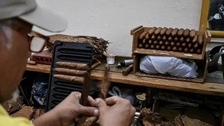 Industria TRABUCURILOR cubaneze este în pericol / Un ONG acuză că o parte din producție este realizată cu ajutorul deținuților